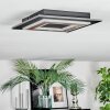 Lidor Deckenleuchte LED Schwarz, 1-flammig