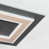 Lidor Deckenleuchte LED Schwarz, 1-flammig