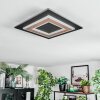 Lidor Deckenleuchte LED Schwarz, 1-flammig
