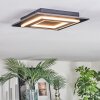 Lidor Deckenleuchte LED Schwarz, 1-flammig