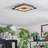 Lidor Deckenleuchte LED Schwarz, 1-flammig