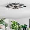 Lidor Deckenleuchte LED Schwarz, 1-flammig