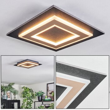 Lidor Deckenleuchte LED Schwarz, 1-flammig