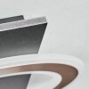 Lidor Deckenleuchte LED Schwarz, 1-flammig