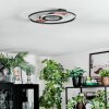 Hadel Deckenleuchte LED Holzoptik, Schwarz, 1-flammig