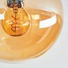 Gastor Deckenleuchte Glas 15 cm Bernsteinfarben, Rauchfarben, 5-flammig