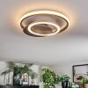 Lynor Deckenleuchte LED Anthrazit, Schwarz, 1-flammig