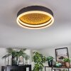 Guine Deckenleuchte LED Gold, Schwarz, 1-flammig