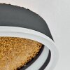 Guine Deckenleuchte LED Gold, Schwarz, 1-flammig