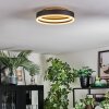 Guine Deckenleuchte LED Gold, Schwarz, 1-flammig