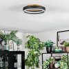 Guine Deckenleuchte LED Gold, Schwarz, 1-flammig