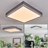 Salmi Deckenpanel LED Grau, Silber, 1-flammig