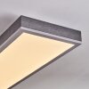 Salmi Deckenpanel LED Grau, Silber, 1-flammig