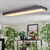 Salmi Deckenpanel LED Grau, Silber, 1-flammig