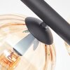 Koyoto Deckenleuchte Glas 15 cm Bernsteinfarben, Klar, 6-flammig