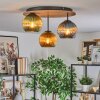 Koyoto Deckenleuchte Glas 15cm Braun, Holzoptik, Schwarz, 3-flammig