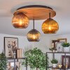 Koyoto Deckenleuchte Glas 15cm Braun, Holzoptik, Schwarz, 3-flammig