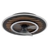 Globo Trevino Deckenventilator LED Naturfarben, Schwarz, 1-flammig, Fernbedienung