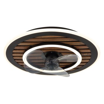 Globo Trevino Deckenventilator LED Naturfarben, Schwarz, 1-flammig, Fernbedienung