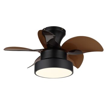 Globo Kari Deckenventilator LED Braun, Schwarz, 1-flammig, Fernbedienung