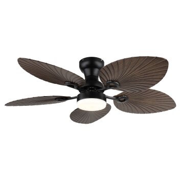 Globo Elise Deckenventilator LED Naturfarben, Schwarz, 1-flammig, Fernbedienung