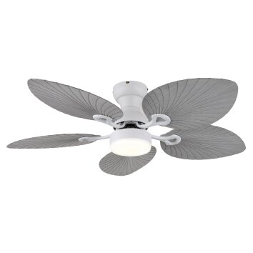 Globo Elise Deckenventilator LED Grau, Weiß, 1-flammig, Fernbedienung