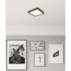 Globo Fitzpatrick Deckenleuchte LED Schwarz, 1-flammig