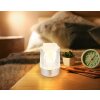 Globo Lizzy Tischleuchte LED Silber, 1-flammig