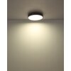 Globo Doro Deckenleuchte LED Grau, Silber, 1-flammig, Fernbedienung