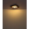Globo Woody Deckenleuchte LED Naturfarben, Schwarz, 1-flammig