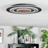 Lidor Deckenleuchte LED Schwarz, 1-flammig