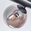Chehalis Deckenleuchte Glas 10 cm Rauchfarben, 5-flammig