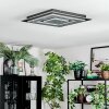Lidor Deckenleuchte LED Schwarz, 1-flammig