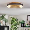 Guine Deckenleuchte LED Gold, Schwarz, 1-flammig