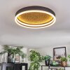 Guine Deckenleuchte LED Gold, Schwarz, 1-flammig