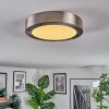 Omaro Deckenpanel LED Nickel-Matt, 1-flammig