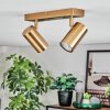 Javel Deckenleuchte Gold, 2-flammig