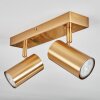 Javel Deckenleuchte Gold, 2-flammig