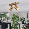 Javel Deckenleuchte Gold, 2-flammig