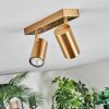 Javel Deckenleuchte Gold, 2-flammig