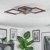 Binor Deckenleuchte LED Naturfarben, Schwarz, 1-flammig