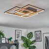 Binor Deckenleuchte LED Naturfarben, Schwarz, 1-flammig