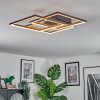 Binor Deckenleuchte LED Naturfarben, Schwarz, 1-flammig