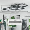 Brilo Deckenleuchte LED Schwarz, 1-flammig