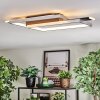 Olian Deckenleuchte LED Schwarz, Silber, 1-flammig