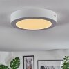 Omaro Deckenpanel LED Weiß, 1-flammig, Farbwechsler