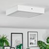 Omaro Deckenpanel LED Weiß, 1-flammig