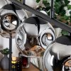 Ripoll Pendelleuchte Glas 15 cm Rauchfarben, 5-flammig