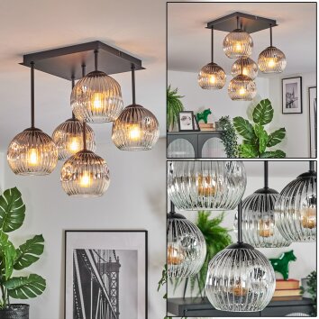 Ripoll Deckenleuchte Glas 15 cm Klar, Rauchfarben, 5-flammig