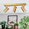 Javel Deckenleuchte Gold, 3-flammig